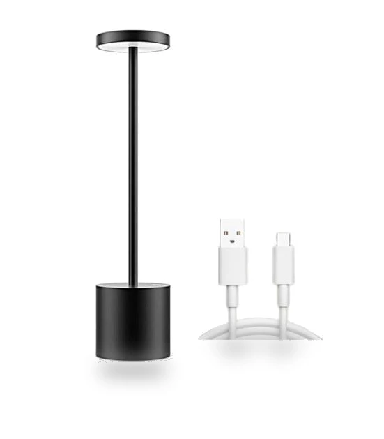 Wireless Desk Lamp with 3 Color Temperatures — Study & Desk Lighting, Pleasure Holiday
