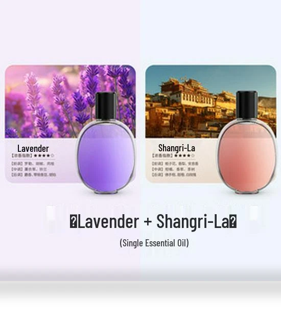 Smart Aroma Diffuser and Humidifier with Timer — Diffusers, The Best Experience