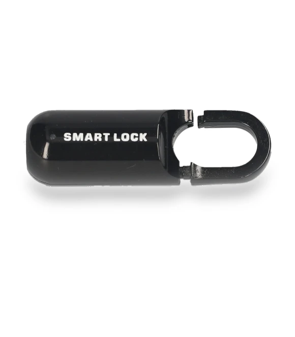 Smart Hanging Lock with Fingerprints — Padlocks & Hasps, Zeblaze