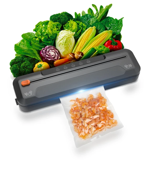 Vacuum Sealer — Vacuum Sealers, CoCo Xili