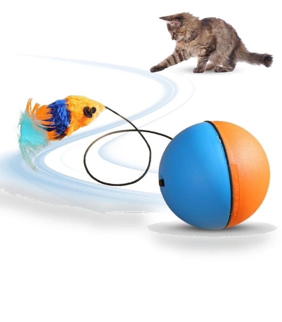 Electric Cat Toy Ball — Cat Playthings, Ren Sexy Toy