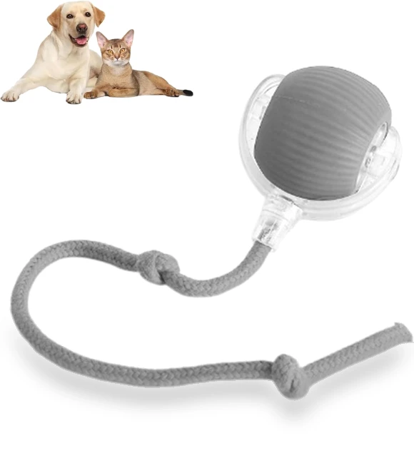 Chewie Ball Rolling Pet Toy — Balls, Diana Pet Stuff