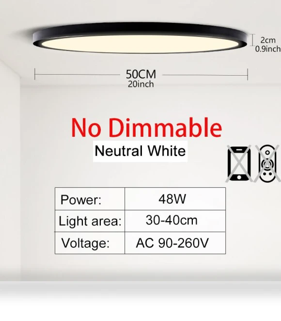 Large LED Ceiling Light with Remote Control and Smart APP — Overhead Lighting, Rainbow Rain