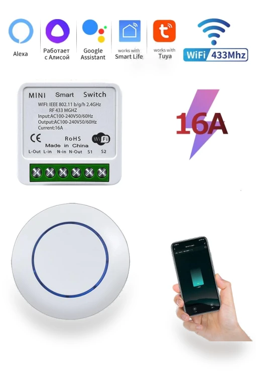 WiFi Smart Switch 16A RF 433Mhz — Smart Home Modules, Rainbow Rain