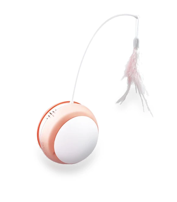 Electric Cat Toy Ball — Cat Playthings, Pet family bucket