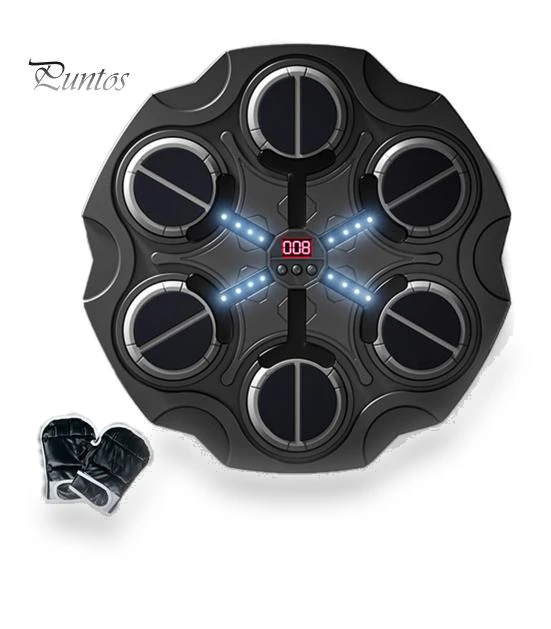 Musical Boxing Target with Light Effect — Boxing Training Gear, Sports Accessory