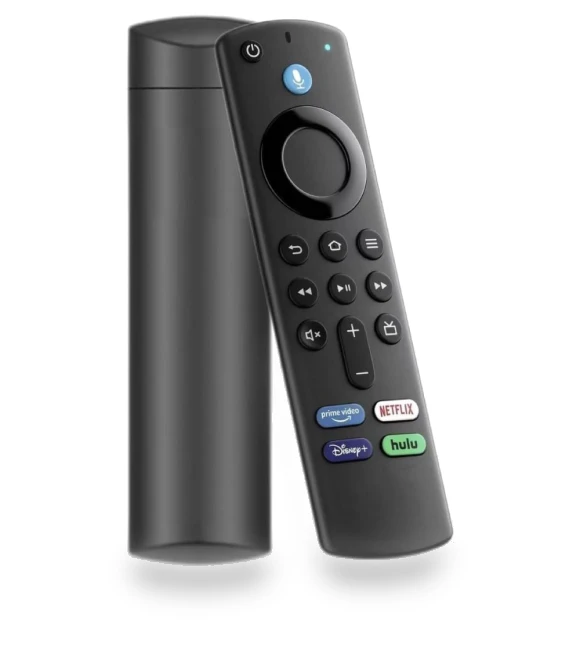 Voice Control Remote Replacement — Remote Controls, Home Of Auto Parts