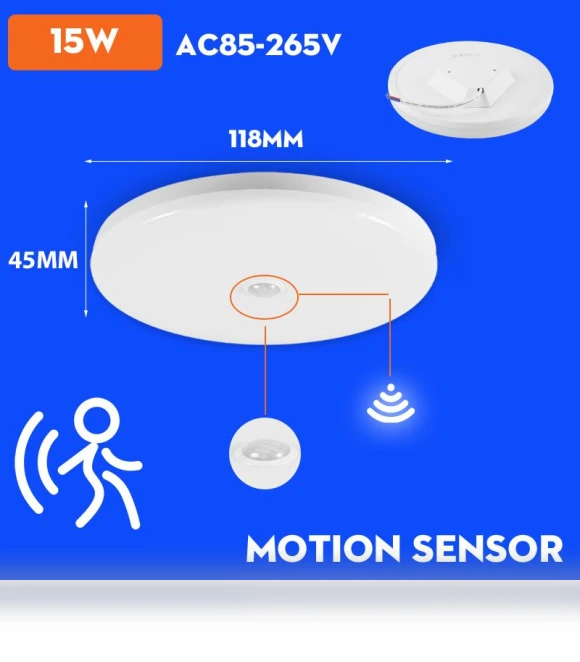 LED Ceiling Light with Motion Sensor — Overhead Lighting, AE Selection