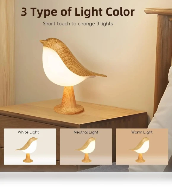 LED Touch Night Light — Night Lights, AE Selection
