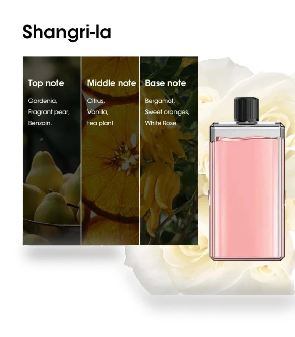 Smart Aromatherapy Diffuser with Night Light — Diffusers, Super Star Mall
