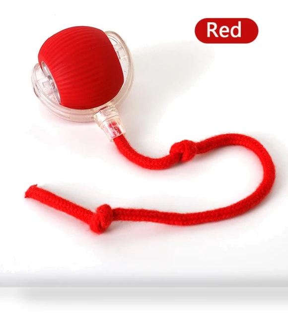 Interactive Electric Pet Toy — Cat Playthings, Pawstrip
