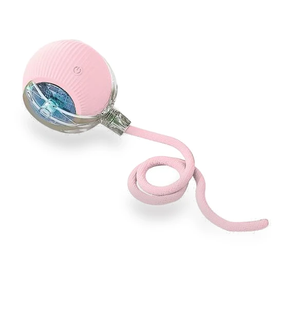 Interactive Rolling Ball Toy for Cats — Cat Playthings, Yoga Da