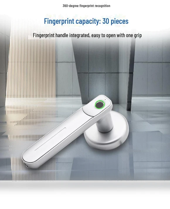 Smart Door Lock with Fingerprint Scanner — Padlocks & Hasps, Apex Gear