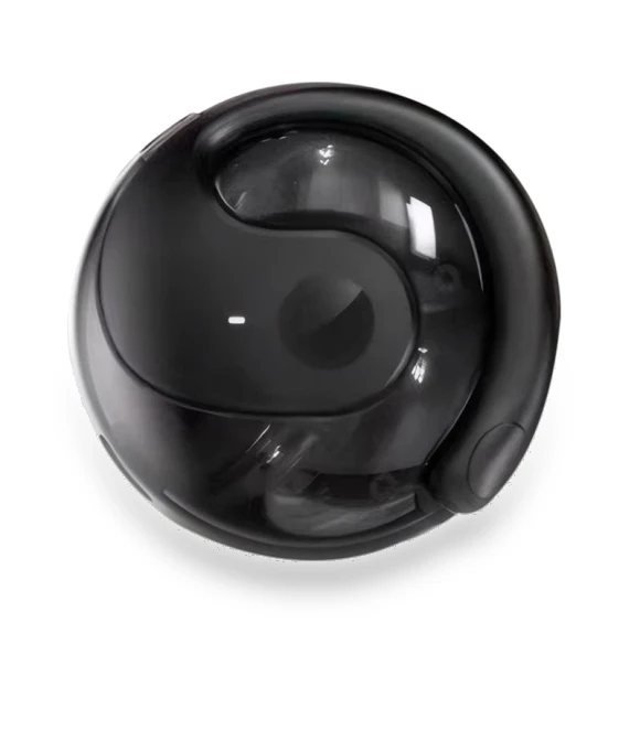 Wireless BT AI Earbuds with Real-Time Translation — Language Translators, WAYN Phone Cases