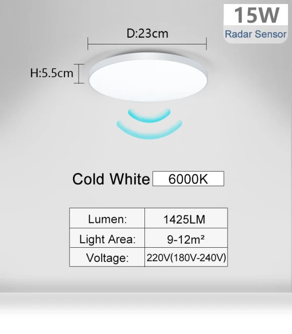 LED Ceiling Light with Radar Sensor — Overhead Lighting, Rainbow Rain