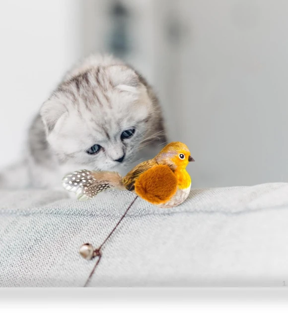 Squeaky Bird Cat Toy — Cat Playthings, Love DIY