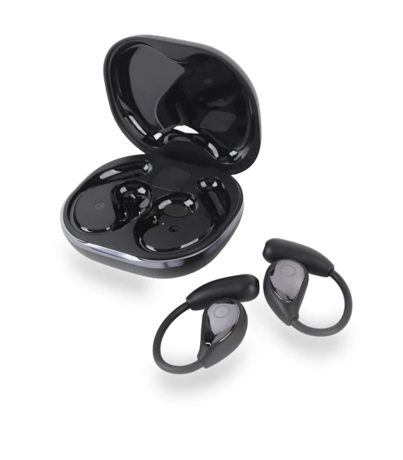 Bluetooth Translator Earbuds — Language Translators, DIYelecs