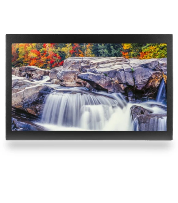 15.6-inch Full View IPS Capacitive Touch Display — Display Solutions, Honor Electronics