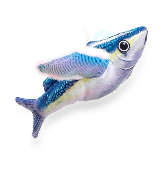 Interactive Flapping Wings Fish Cat Toy — Cat Playthings, All in Watch