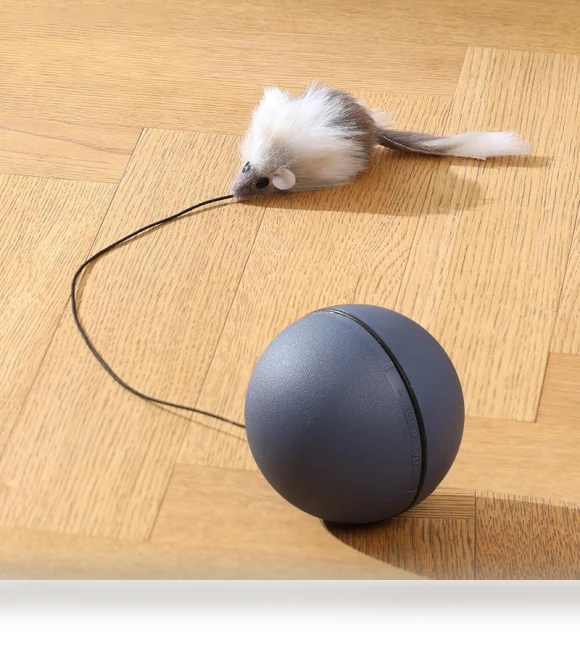 Interactive Smart Ball for Cats — Cat Playthings, Family Circle