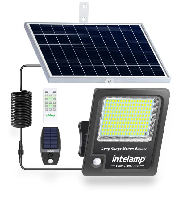 Solar Light with Motion Sensor — Outdoor Security & Flood Lighting, Intelamp