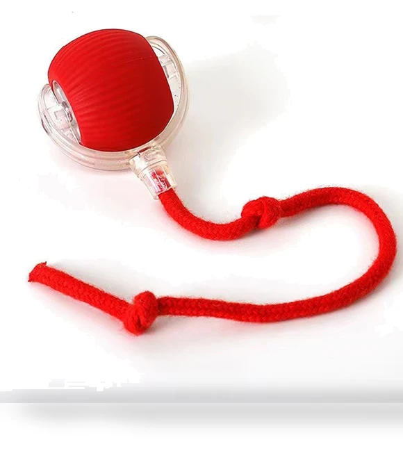 Interactive Ball Toy for Cats — Cat Playthings, Pansyf