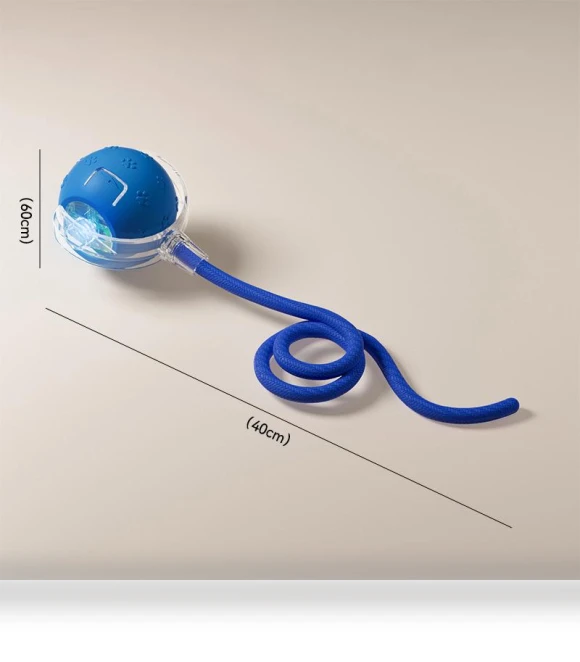 Interactive Pet Toy Ball — Interactive Animal Companions, Drawing Room