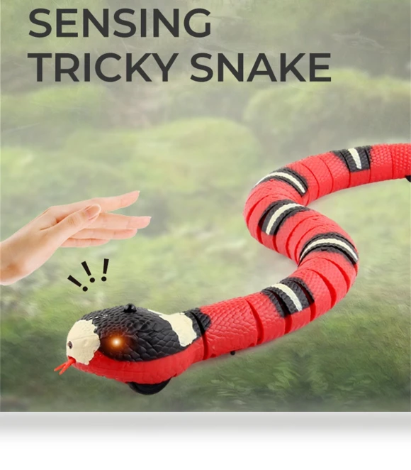 Interactive Snake Toy for Cats — Interactive Animal Companions, Gouhuo
