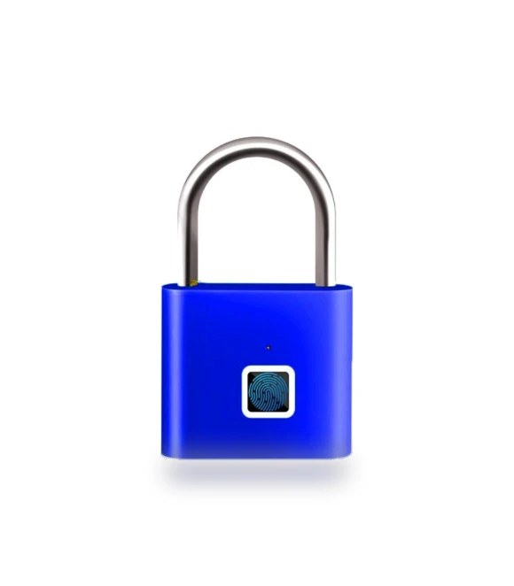 Smart Padlock Keyless Electronic Door Lock — Smart Home Security, Ruishi