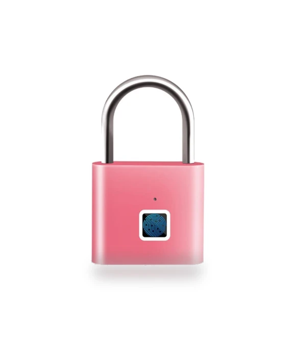 USB Charging Smart Padlock Keyless Electronic Door Lock — Padlocks & Hasps, Manpin