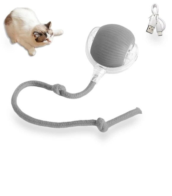 Interactive Pet Toy Ball — Cat Playthings, Household supplies MH