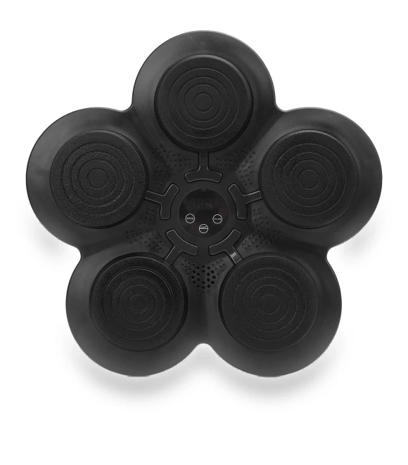 Smart Musical Boxing Trainer with Wall Target — Boxing Training Gear, Fishine