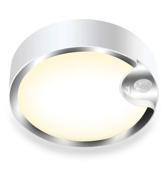 Motion Sensor Ceiling Light — Garden Illumination, HauteHive