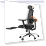 Ergonomic Chair with Footrest, Auto-Following Backrest Headrest, Adaptive Lower Back Support — Office, NEWTRAL