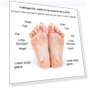 Thumbnail Microcurrent Intelligent Foot Pad Foot Massage Pad — Foot Care Solutions