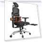 Thumbnail Ergonomic Chair with Lumbar Support, Adjustable Armrest, Headrest, Footrest, 4D Mesh — Desk Chairs, NEWTRAL
