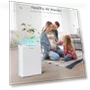 Thumbnail H13 True HEPA Air Purifier for Large Rooms up to 2300sq.ft — Electrostatic Air Purifiers, AMEIFU