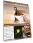 Thumbnail 4K Autofocus Digital Camera with 16X Zoom and 32GB Card — Compact Digital Cameras, Lecnippy