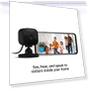 Thumbnail Compact indoor smart security camera, 1080p HD video, night vision, motion detection, two-way audio — Security Cameras, Blink