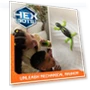 Thumbnail Rechargeable Remote Control Robot Gecko Toy for Kids — Interactive Figures & Robots, HEX BOTS