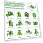 Thumbnail STEM 13-in-1 Education Solar Power Robots Toys for Kids — Solar Power, Bottleboom