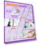 Thumbnail Electric Spin Scrubber — Brushes, NBONEBS
