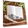 Thumbnail The Wild Robot Escapes - Children's Adventure Book — Children's Books, Little, Brown Books for Young Readers