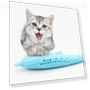 Thumbnail Catnip Cat Teeth Cleaning Silicone Dolphin Toy — Dental Care
