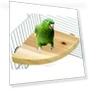 Thumbnail Fan-Shaped Platform Station Board Hamster Springboard Rest Platform — Toys, Parrot Log