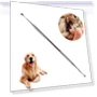 Thumbnail Pet Teeth Cleaning Tool — Toothbrushes