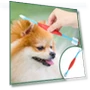 Thumbnail Dual Head Toothbrush for Pets — Toothbrushes