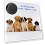 Thumbnail Smart Wireless Dog Doorbells for Potty Training — Doorbells, EverNary