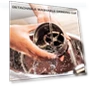 Thumbnail Electric Coffee and Spice Grinder — Electric Blade Coffee Grinders, LINKchef