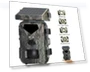 IR Tracking Camera with Solar Panels — Outdoor & Wildlife Cameras, SUNTEK